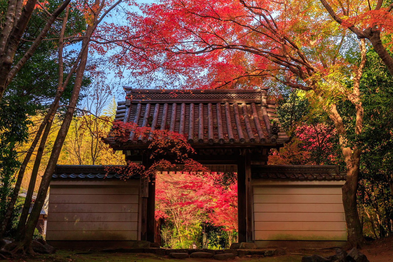 http://萬松山円光寺/紅葉